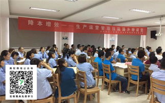 駐廠(chǎng)式咨詢(xún)的價(jià)值與專(zhuān)業(yè)選擇 以美權(quán)企業(yè)管理咨詢(xún)?yōu)槔?>
</a>
<div   id=